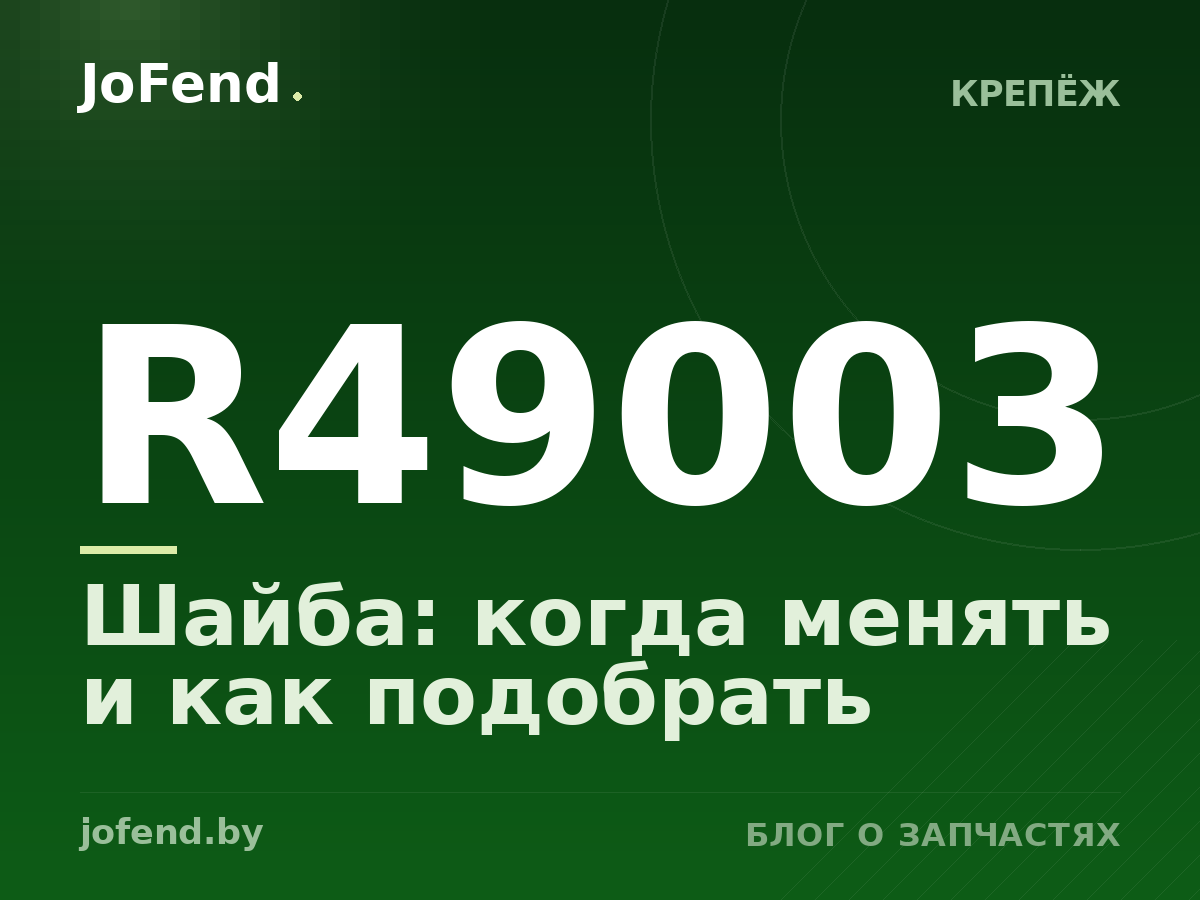 Шайба R49003: когда менять и как подобрать