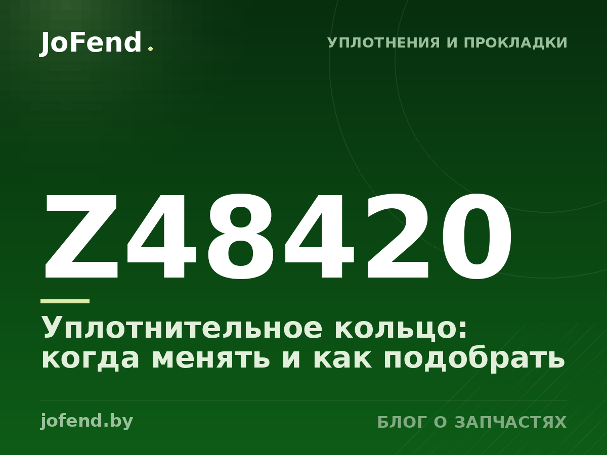 Уплотнительное кольцо Z48420: когда менять и как подобрать