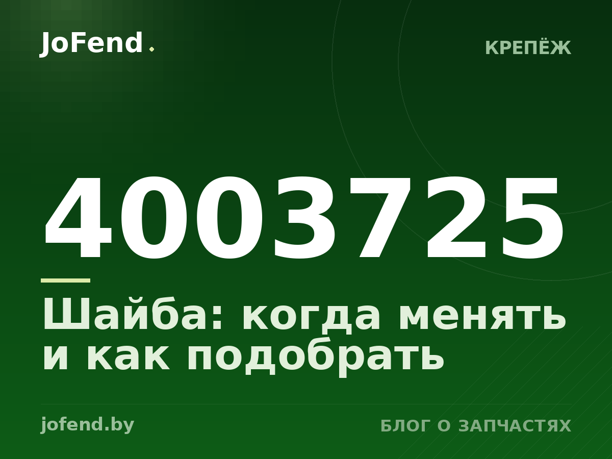 Шайба 4003725: когда менять и как подобрать